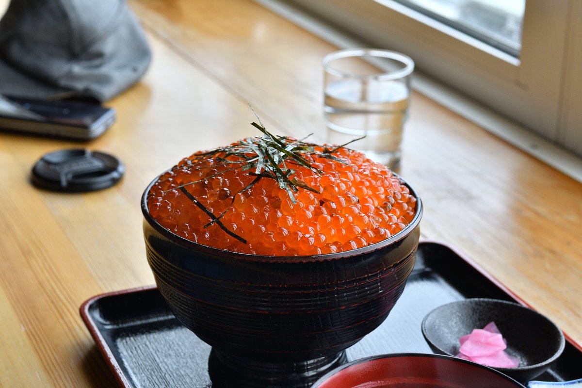 羅臼の写真です 