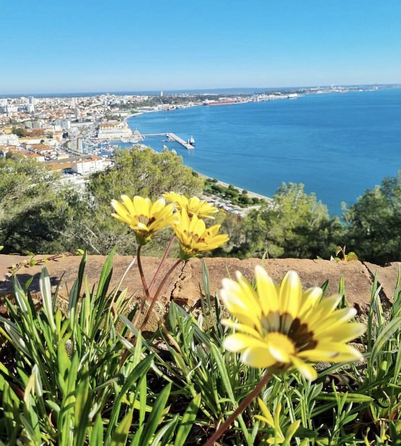 # Allen Verliebten einen schönen Tag der Liebe 😻💑  
# bonne fête de l’amour a tout les amoureux 💘