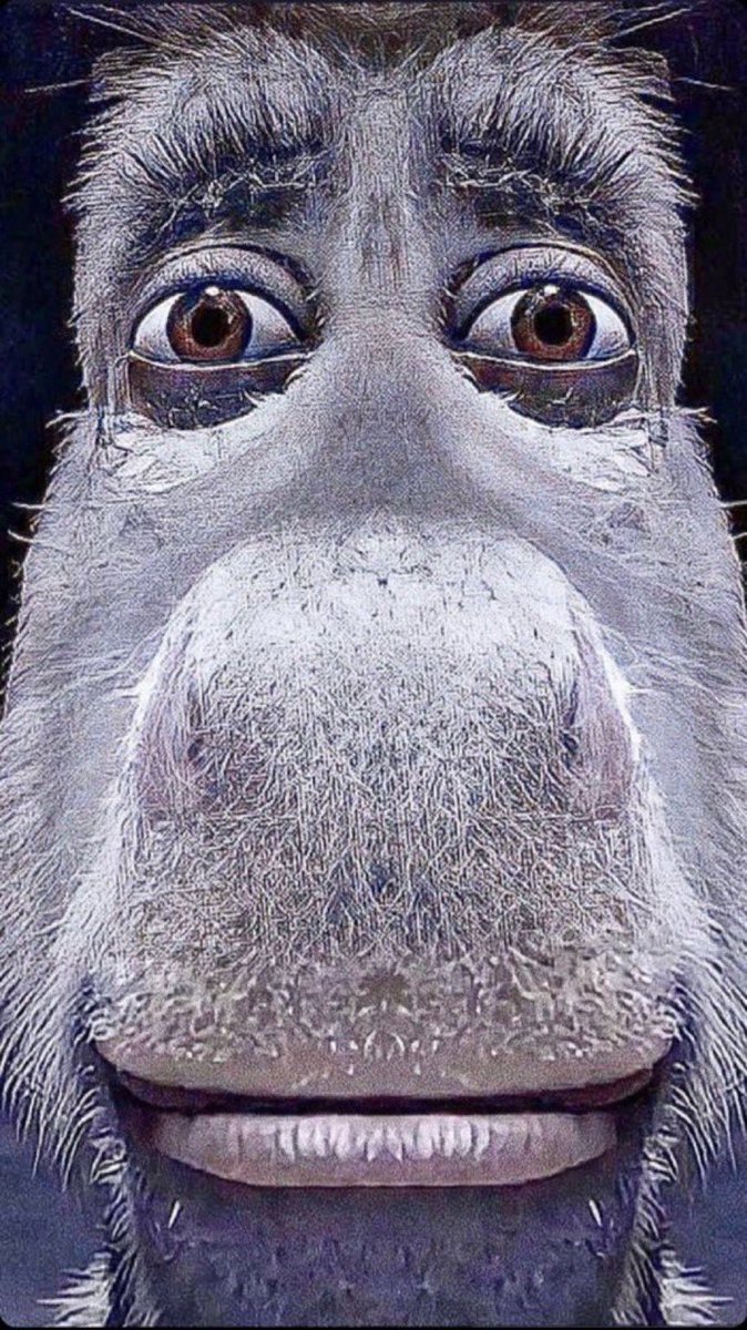 Keyboard Monkey -KBM- tweet media