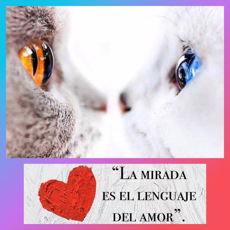 tecnooptica's tweet image. 💕Feliz día del Amor y la Amistad 💕

#óptica #tecnooptica #FelizSanValentin #FelizDiaDelAmorYLaAmistad #FelizDiaDeSanValentin #miradasqueenamoran #miradasquehablan #miradas