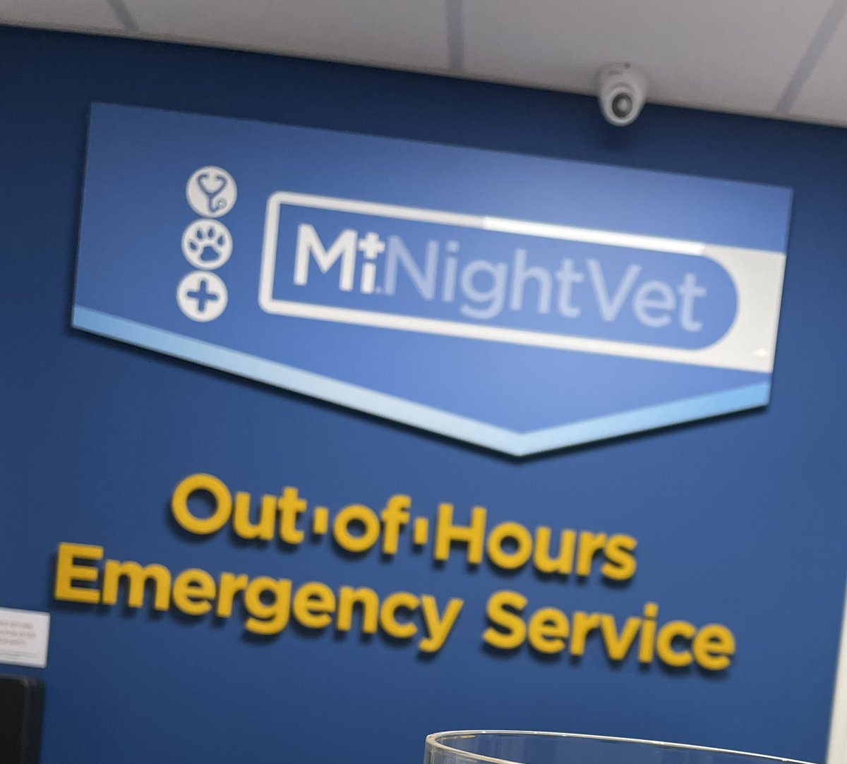 Some horrible news I'm afraid. Scout spent the night at the emergency vets after having 3 seizures, the vet is treating him for epilepsy, just going to pick him up now 🤞🏼🙏🏼