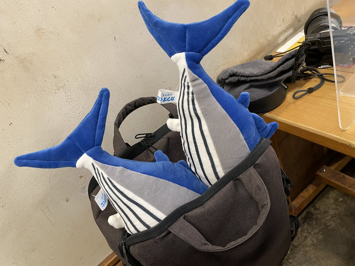 yucam_2000's tweet photo. ２回やって空振りでミニカツオやった隊長対して、一発で本命のくじらキメるととさん...
もっちゅう男は違うわ https://t.co/znHGO8zLZo