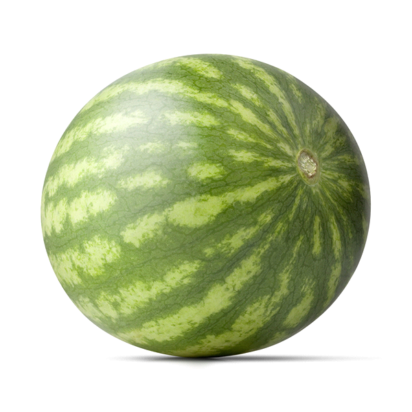 cloudfluff495's tweet photo. @SandStoneArtis1 Join me, become watermelon https://t.co/y595QOCrrF