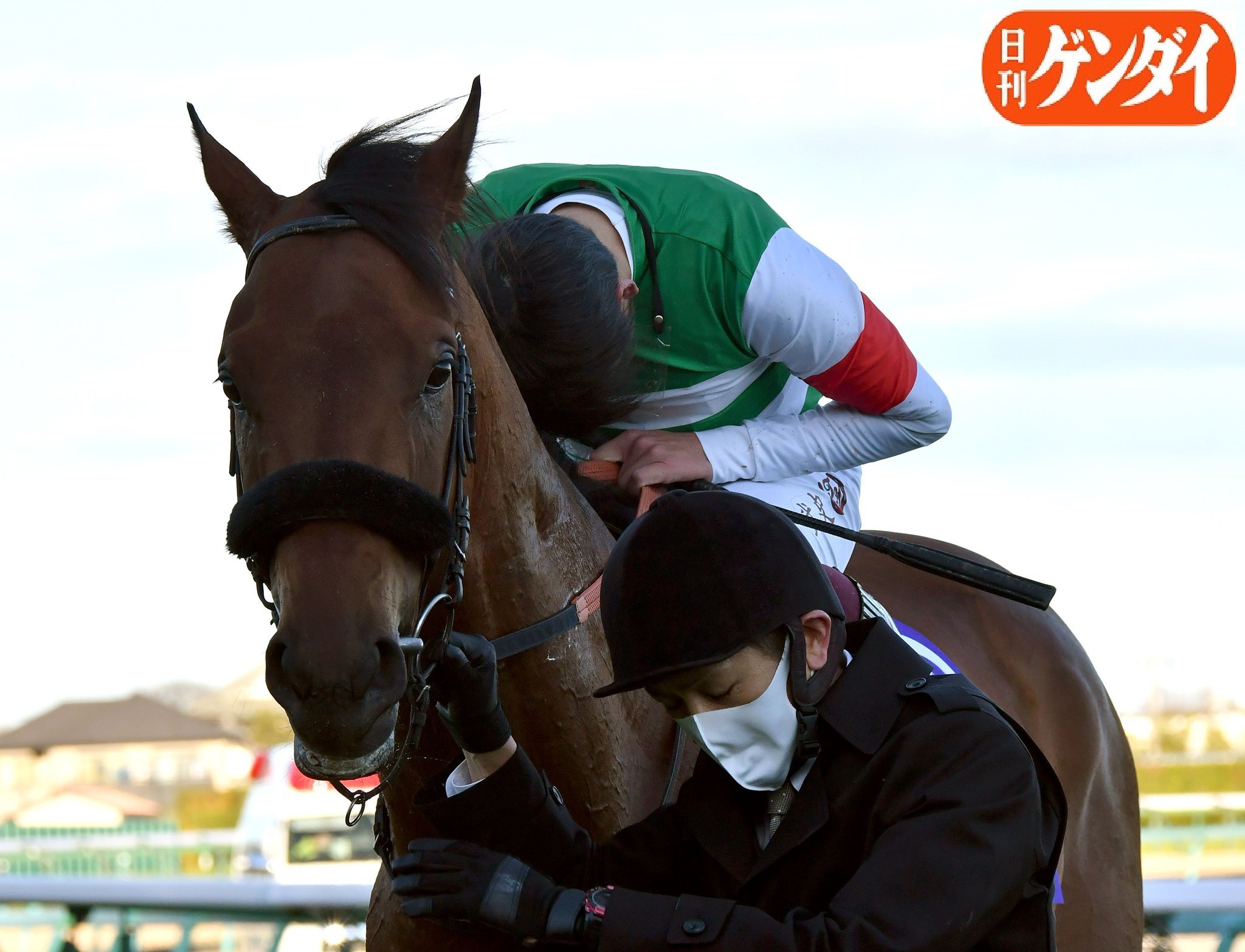 ⑭　競馬　JRA　◆　エフフォーリア　◆　ゴルフマーカー　◆　有馬記念　◆勝負服 有馬記念】1番人気エフフォーリアが快勝/競馬・レース/デイリー