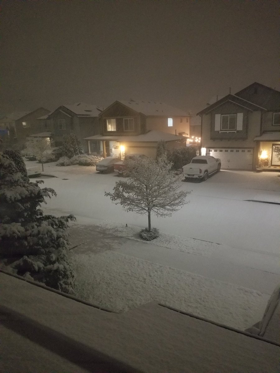 Pretty but I can't believe how hard it is snowing....so much for just a trace🤣😂🤣😂❄❄❄ @CraigHerreraTV @WxMikeEverett @KING5Seattle #wawx #k5weather