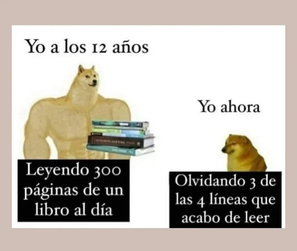 cisnenegro's tweet photo. Correcto https://t.co/63SUcyGtOo