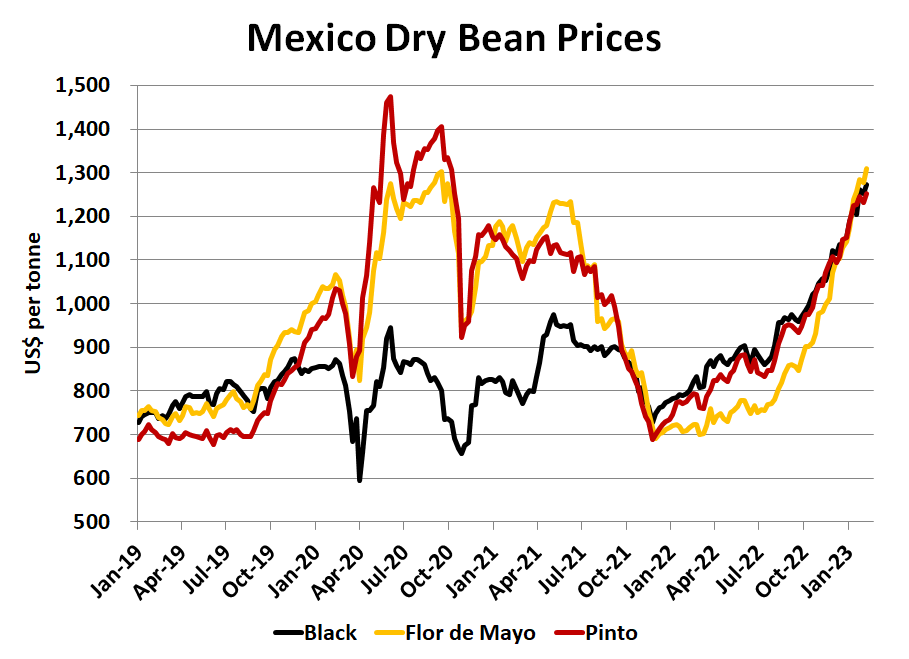 Bit of a rally going on in Mexican bean markets.