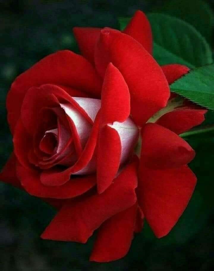 #loyal #AMY🅰️
<a href="/Alaayous3/">alaa amy</a>
<a href="/nor3rh/">💎Nor elrhman💎</a>
<a href="/_mi3i/">ま.</a>
<a href="/MariaG_GG/">María Guarnizo</a>
@rik5za
<a href="/2ONE_e/">2⃢💋ne</a>
@7_s__z
<a href="/shurash_s/">Shurash s</a>
<a href="/shd0016/">Shahid</a>
<a href="/tou_fitri/">Paloma_Blanca</a>
@talkkami
<a href="/love_07__/">˚☕︎🐝ｓᗩʰ𝓪𝔯𓂆</a>
<a href="/ijjpk/">⭐⭐⭐</a>
@foz3x3
<a href="/ijjbf/">✨Positive Vibes✨</a>
<a href="/ijj08/">Cato</a>
<a href="/1firj/">Halit Mahmut❣️B1</a>
<a href="/kn_jui/">Bakht Zada🇵🇰f💯</a>
<a href="/EByzio/">Eva Byzio</a>
<a href="/ch10nb/">warrior</a>
<a href="/maralinda67/">Mara</a>
<a href="/Rushna64163935/">Rushna</a>
<a href="/Muhamma14047851/">Muhammad Younas</a>
<a href="/N9qyQKz8KsvGYuQ/">جيهان العامرية 🐦</a>
@varnachawan
<a href="/MarisaSukamto/">Marisa Sukamto 🟢</a>