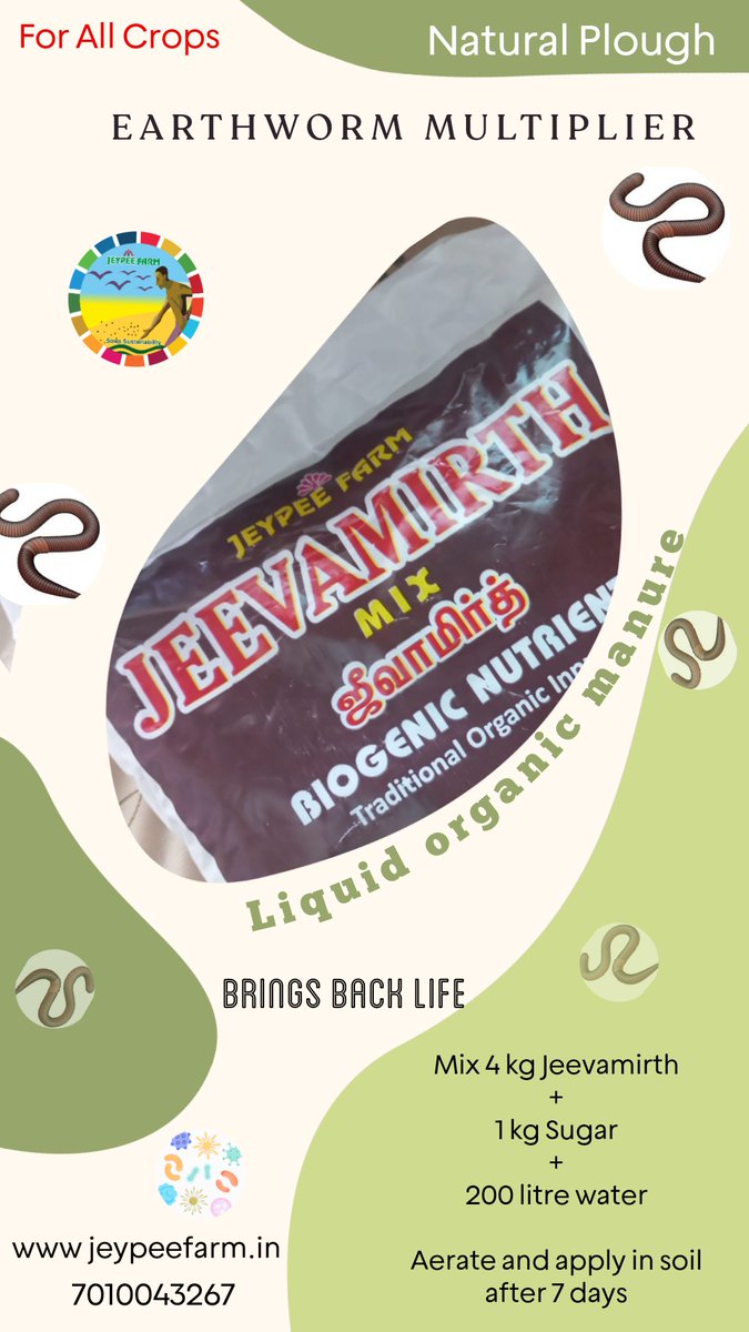 Jeypeefarm's tweet image. Jeevamirth frugal Earthworm multiplier in climate smart farming #GoodPick . #biodiversity #Earthworm #Eisenia #SoilHealth #Energy #Ecosystemservice