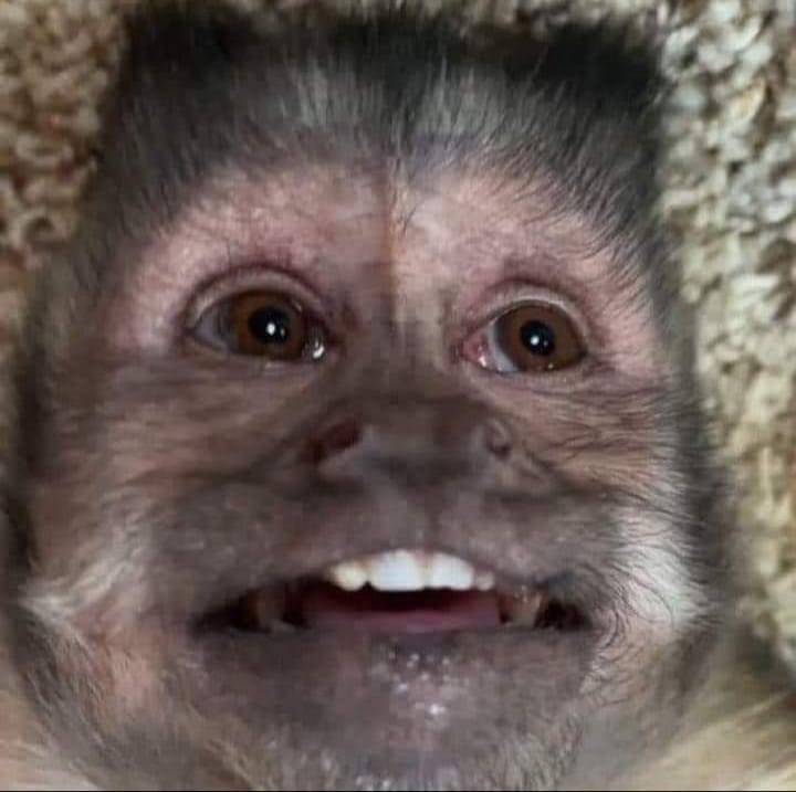 Yo viendo la película de chuek en mi mente porque me la sé de memoria