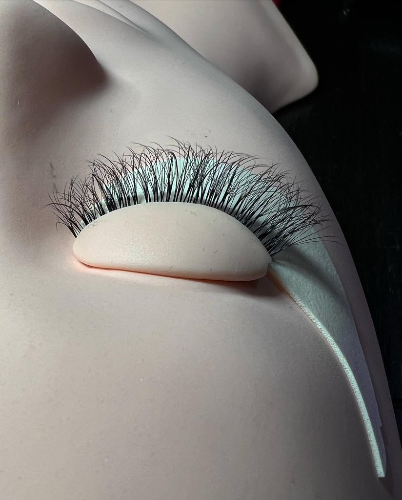 Sydnie Gutekunst tweet media