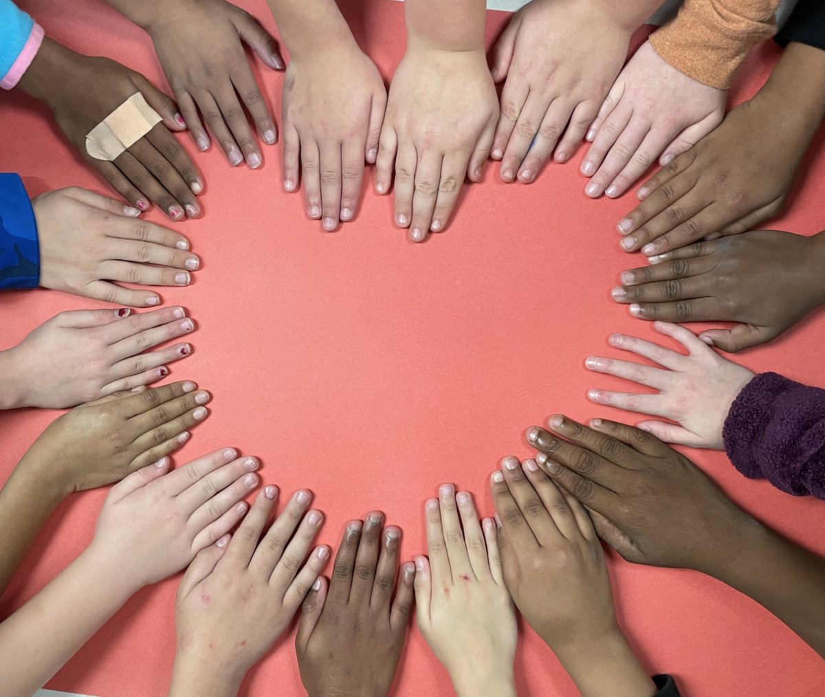 Amanda Meissner tweet media