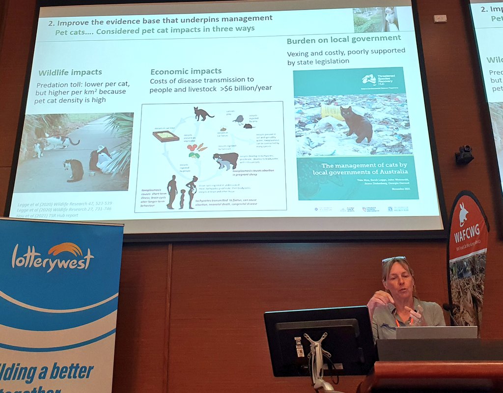 An outstanding summary of #impact #evidence and priority #solutions for #cat #management in #Australia from @SarahMLegge covering the @TSR_Hub portfolio of work. Staggering yet motivating numbers. #WAFeralCat23
#TurningAMomentIntoAMovement