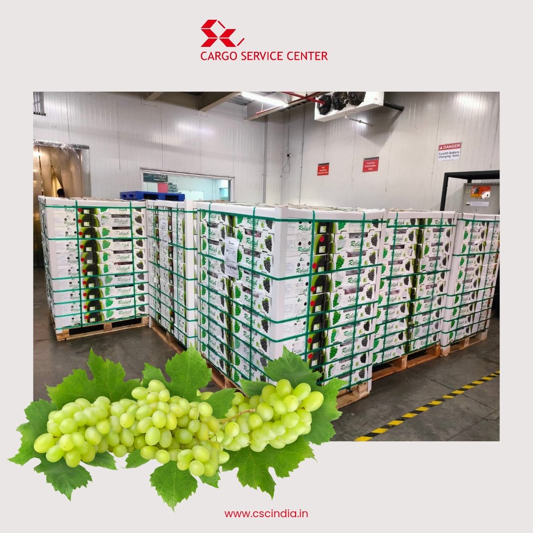 CSCIndia_PvtLtd's tweet image. #NewsAtCSC – Fresh grapes exported from CSC PCT, BOM to BKK with a new packing system packed in 50 boxes per skid for easier handling, replacing the previous delicate and loose boxes. Says goodbye to individual boxes and hello to more efficiency and freshness.