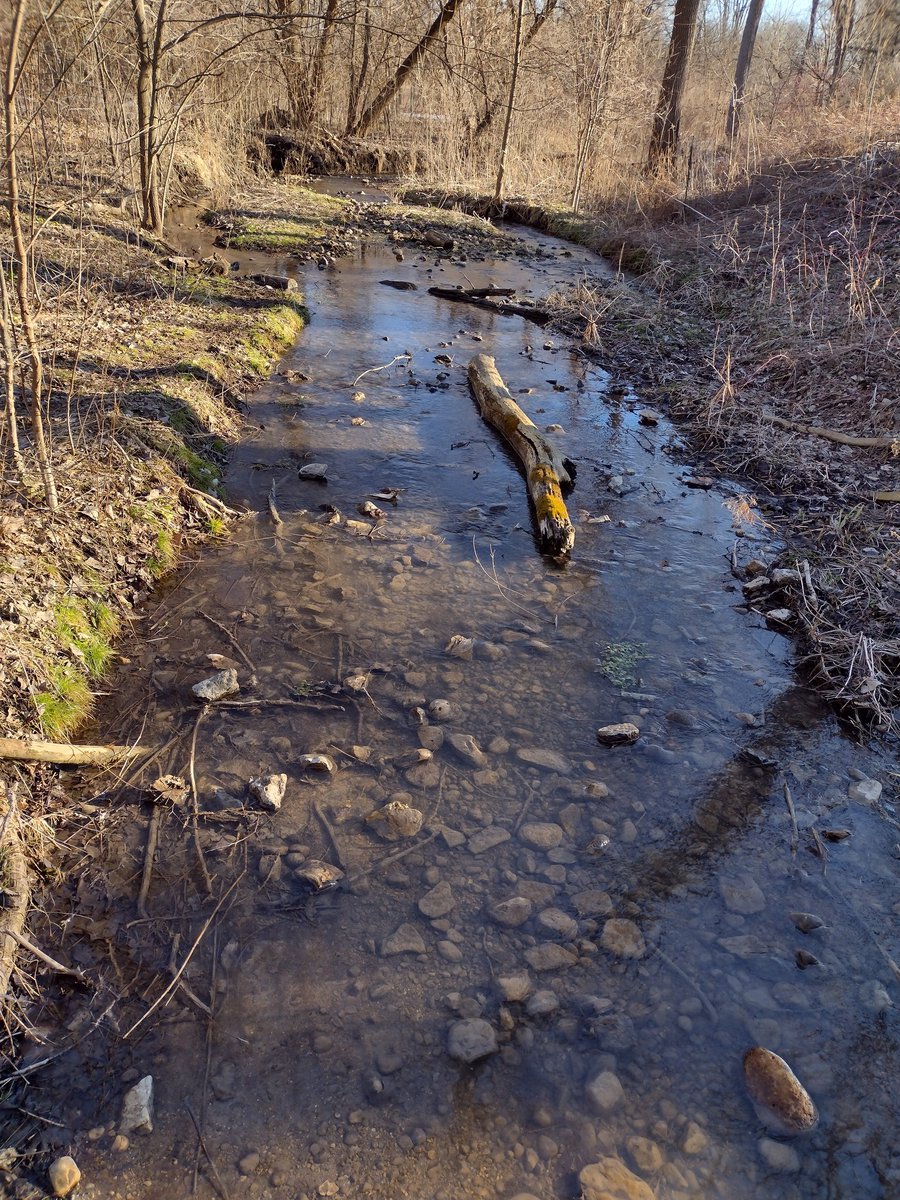 Three Oaks Sports Nuts on Twitter "Beautiful day 😌"