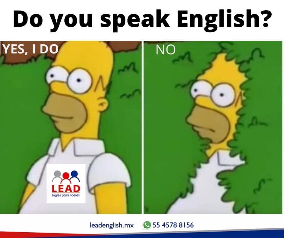 ¿Hablas inglés? 😀😎🤩
Do you speak English? 😀😎🤩
🇬🇧🇬🇧🇬🇧
Amplía tus oportunidades hablando #inglés
Tenemos cursos para toda la familia 

#englishisfun #hablaingles #englishonline #inglesparalideres #leadenglishmx