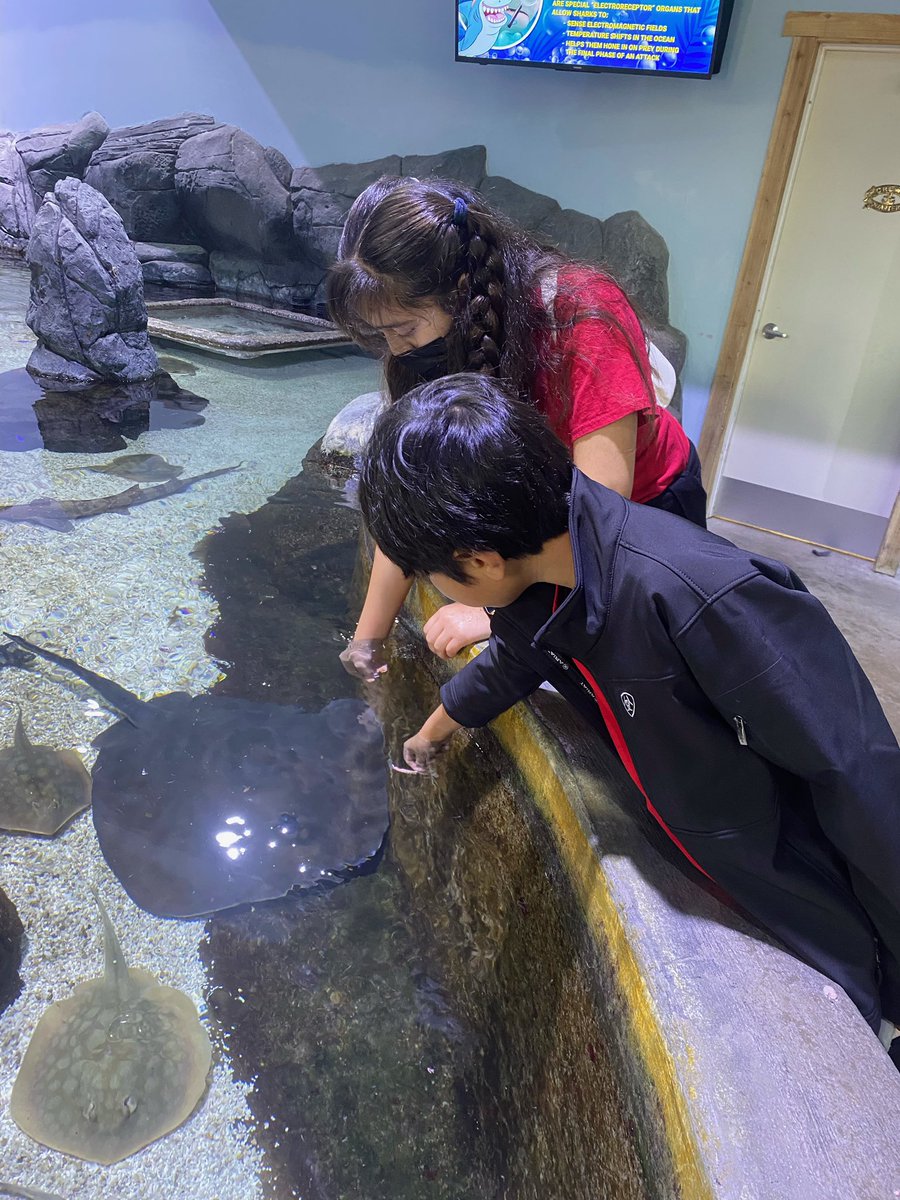 Clarks_Science's tweet photo. More photos from our AMAZING field trip! So fun to watch our scholars explore new creatures. https://t.co/OqyuGOUcv1
