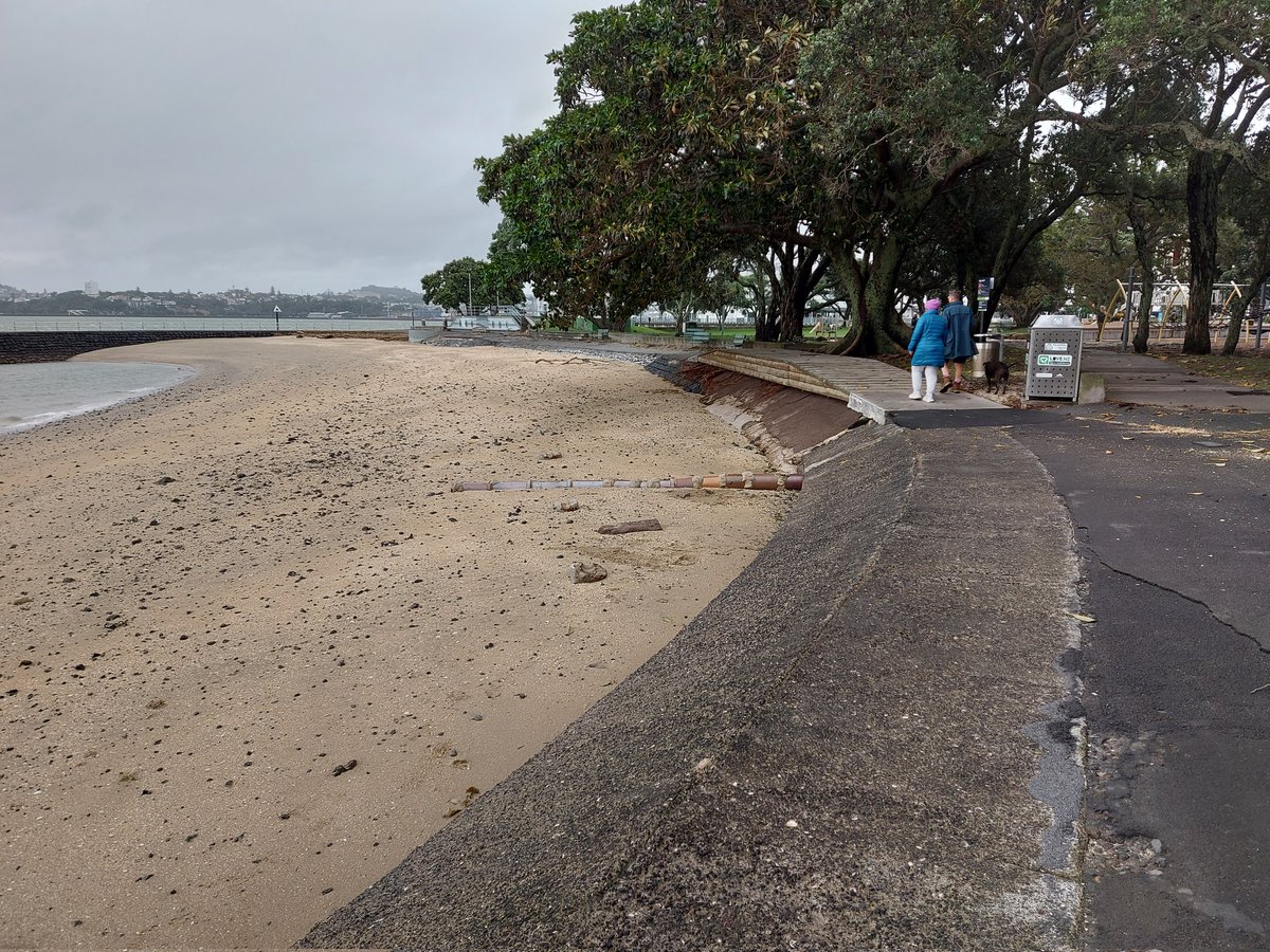 coastandoceancollective tweet media