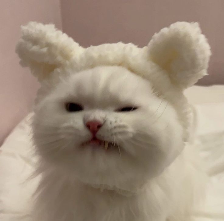 beckbstudies's tweet image. Como copiar e colar textos no Google docs sem estragar o seu documento;