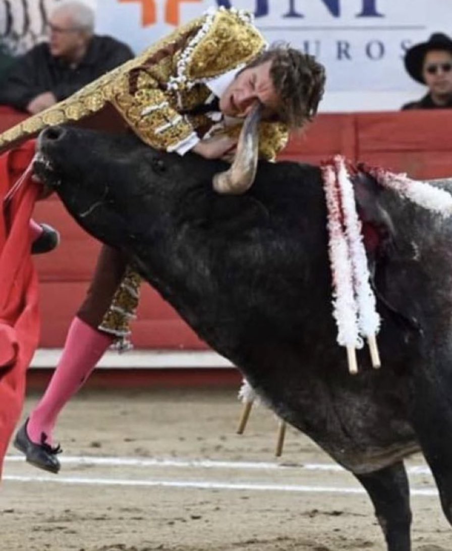 dolorcilloo's tweet photo. Payo, lamento que un toro te haya
cornado mientras lo torturabas e intentabas matarlo. 
Espero tu pronta recuperación, que esto te ayude a entender el dolor que sienten los animales y lo innecesarias que son estas actividades. https://t.co/nd3oqqEsoU