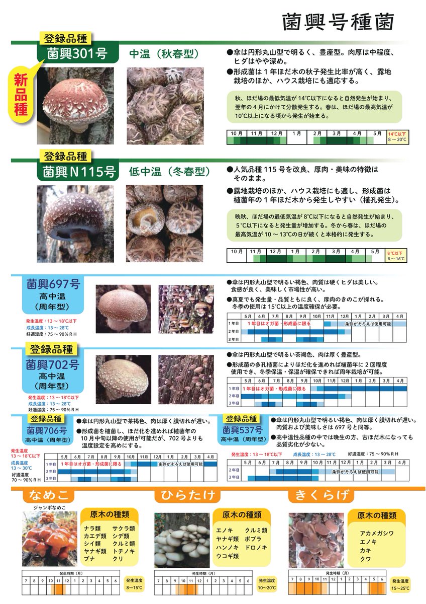 NipponKinokoC's tweet photo. きのこセンターで開発された種菌のカタログです。シイタケといっても、色���な品種があります。
もちろん、他メーカーさんも色々な品種を開発されています。 https://t.co/NQb2Fjjau1