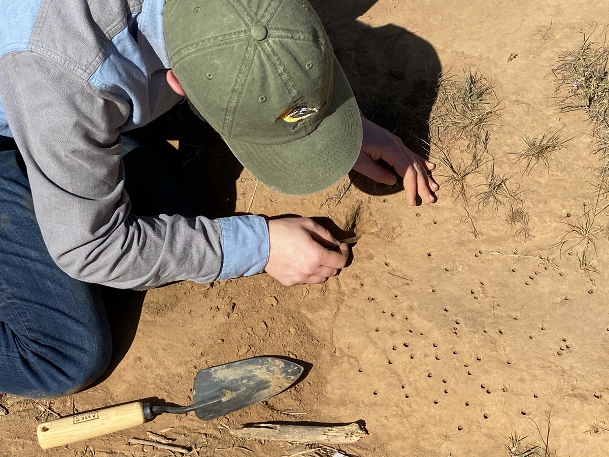 UC Davis Natural Reserves tweet media