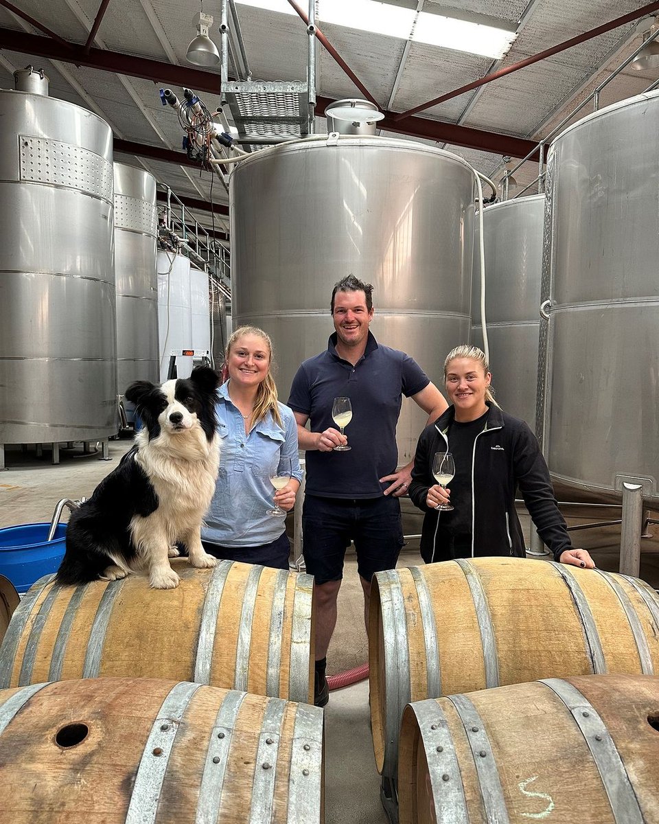 Winery Spotlight: Ross Hill Wines, Orange NSW
With an impressive team including chief winemaker Luke Steele, carbon neutral Ross Hill Wines continues to leave a lasting impression with each new vintage.
rosshillwines.com.au