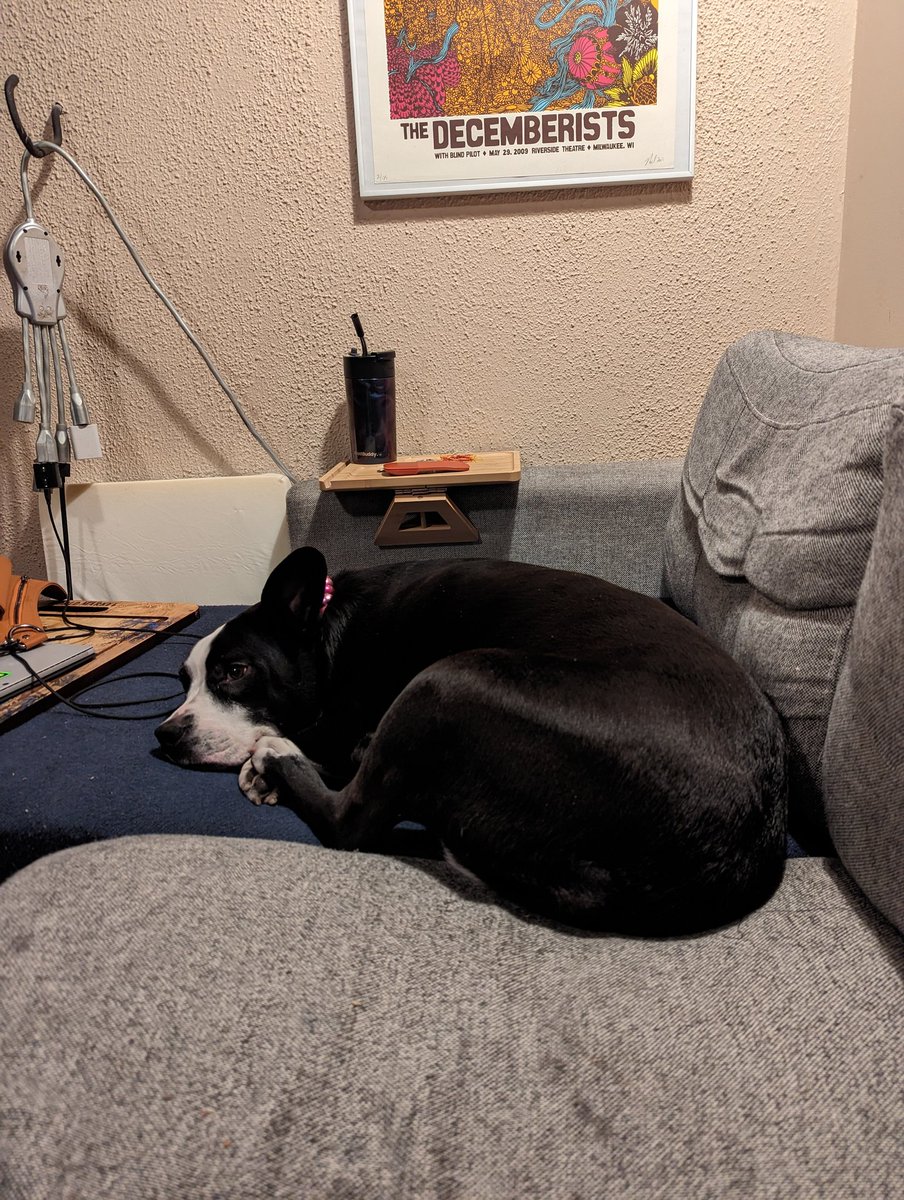 mad_Sweeney's tweet photo. Honestly, dogs are perfectly naked. I look at this thing and I'm like "Yep, that's a dog." https://t.co/A1Pq4Zj210
