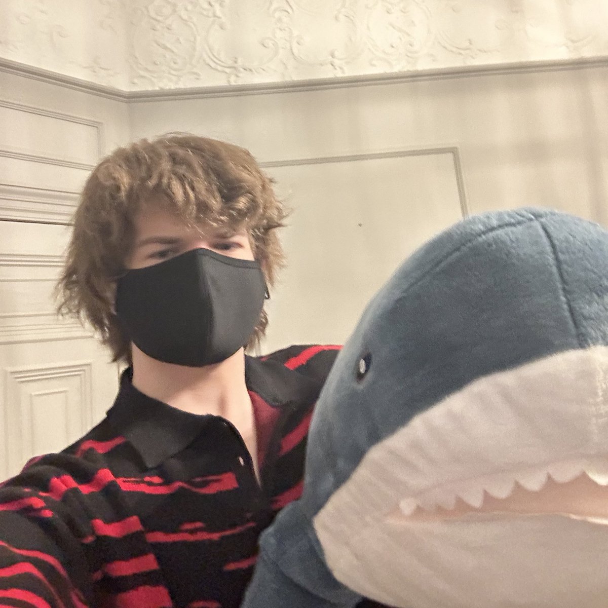 Ranboosaysstuff's tweet image. Who even needs “valentines day” when I’ve got a big ol shark?