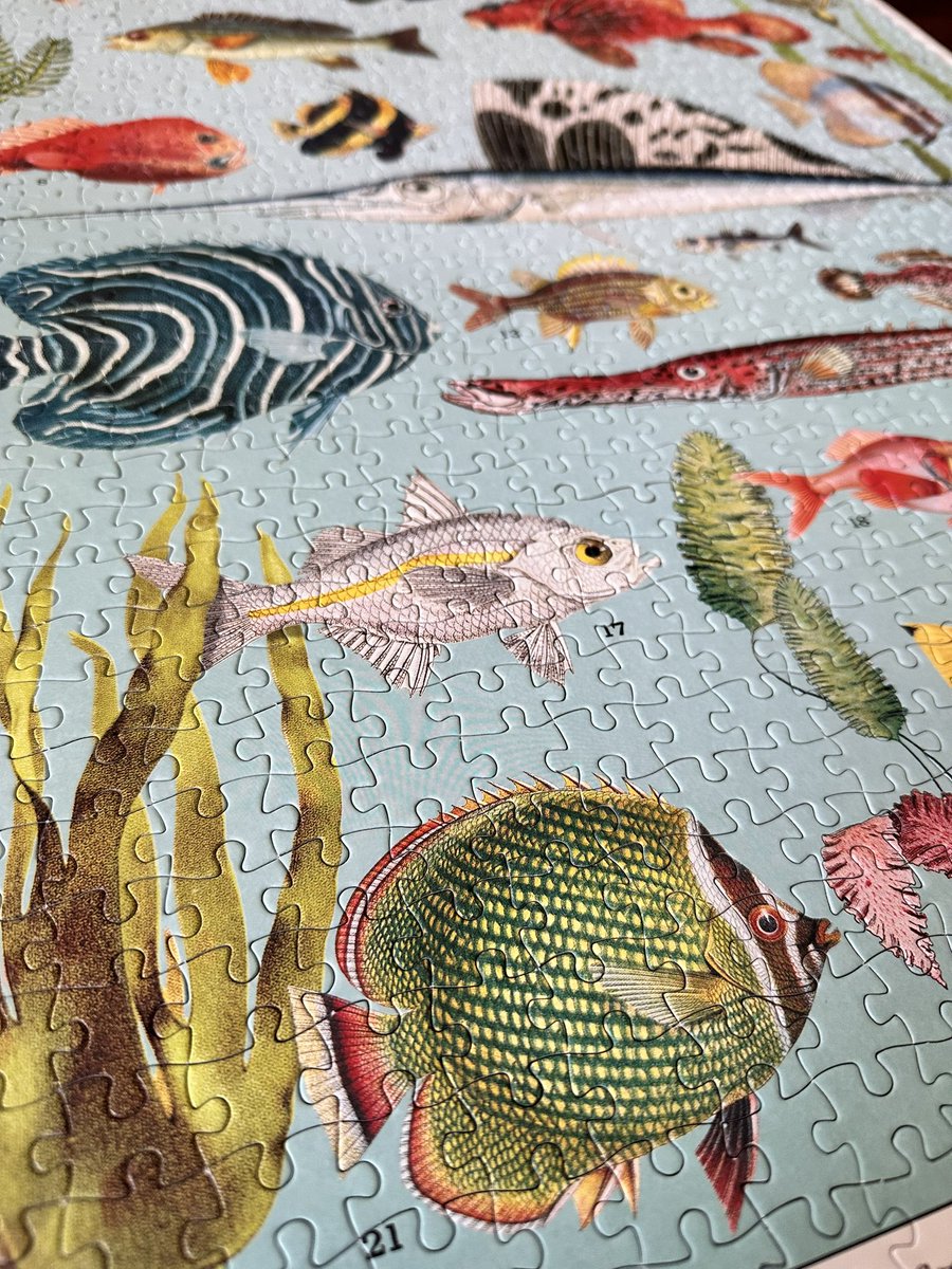 Miraculously completed without missing any pieces, despite the kitty attacks 🥹