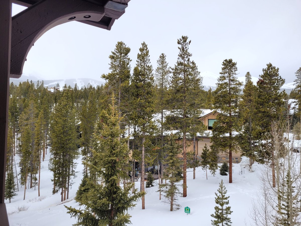 MrsMoCooks's tweet image. I'm in Breckenridge, Colorado and there is a MOOSE ALERT at my hotel....I am so excited 😁 they say it's early in the morning so I told my husband first thing he has to dash to the window and look for moose! 😂