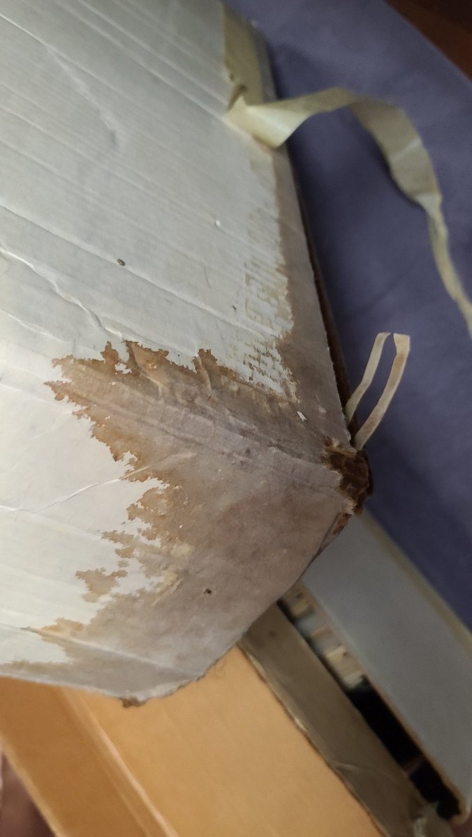 Non-Ironically T.V.'s B. Dave Walters - EVERYWHERE tweet media