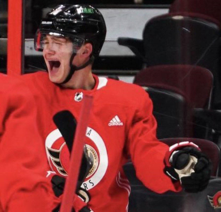 Sens4Lyfe9's tweet photo. @NHLFlames @McDonaldsCanada https://t.co/DSxbOB36nz