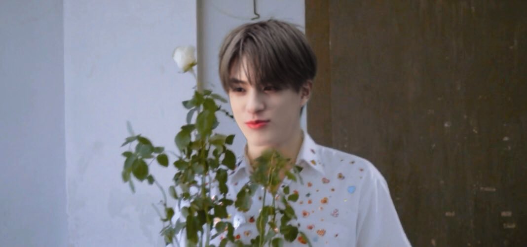 ꙳. 𝙹𝚞𝚕𝚒𝚎•₊˚ tweet media