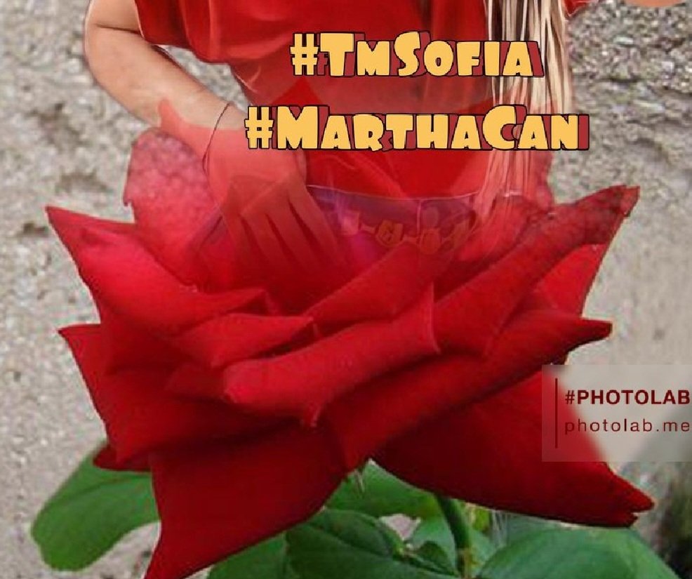 #TmSofia #MarthaCan

@mvf7186 @MarthaCandia21
@MARTHA_CAN2 @JIMENAC__
@ALESXIA_1 @Jemaco40
@monicampon
@OlgaPart1 @R3_Adv @nbea_h
@Aa_ban1 @Zar_43 @khalidaajzi
@Nature_moni @lumpie125
@teamdinamicas @ranasilvia63
@CarloSportfan
@Spencerjames211
@NewCarlonet
@Siogo61 @bluea125