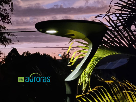 VaneyLinn's tweet photo. Themis solar garden light, lighting effect picture at night, solar panel installation on the top of the light, integrated design, lighting time up to 17hours.

#solar #solargardenlight #solarpostlight #solarpedestrianlight #solarpathwaylight #solarcountyardlight #outdoorlighting https://t.co/3fJ8oqSDji