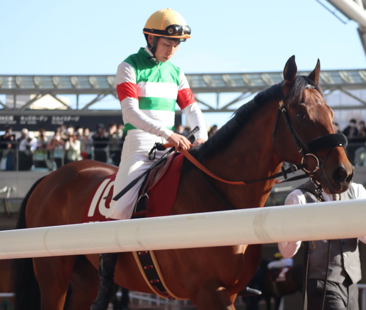 soramamenazu's tweet image. 2/12 阪神競馬場 京都記念
パドック レース中
エフフォーリア 横山武史騎手
エフフォーリアパドックなまら気合い入ってたんだよ…お疲れ様😭
#京都記念2023
#エフフォーリア #横山武史騎手