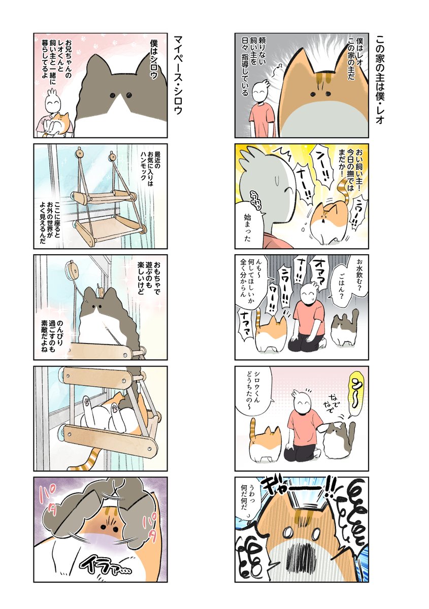 2023年2月19日(日)COMITIA143
スペース【つ20b】
マイナビニュースさん連載中の「この家の主は僕」まとめ本が出ます🐈🐈‍⬛描き下ろし含む計20頁のフルカラー本。あと何かしらペーパー作っていきます。宜しくお願いします! 
