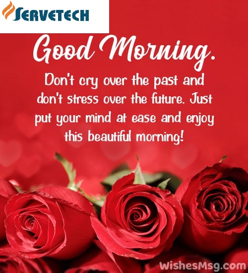 SnehaAravind4's tweet image. Good morning to all☀️
Have a great day ahead
#servetech #megt #goodmorning #vibes