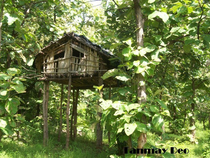 Adv. Tanmay Deo tweet media