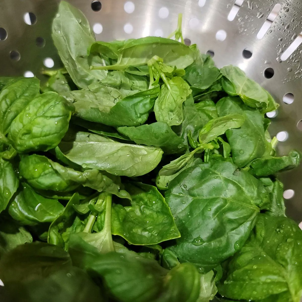 Robin Dillard tweet media