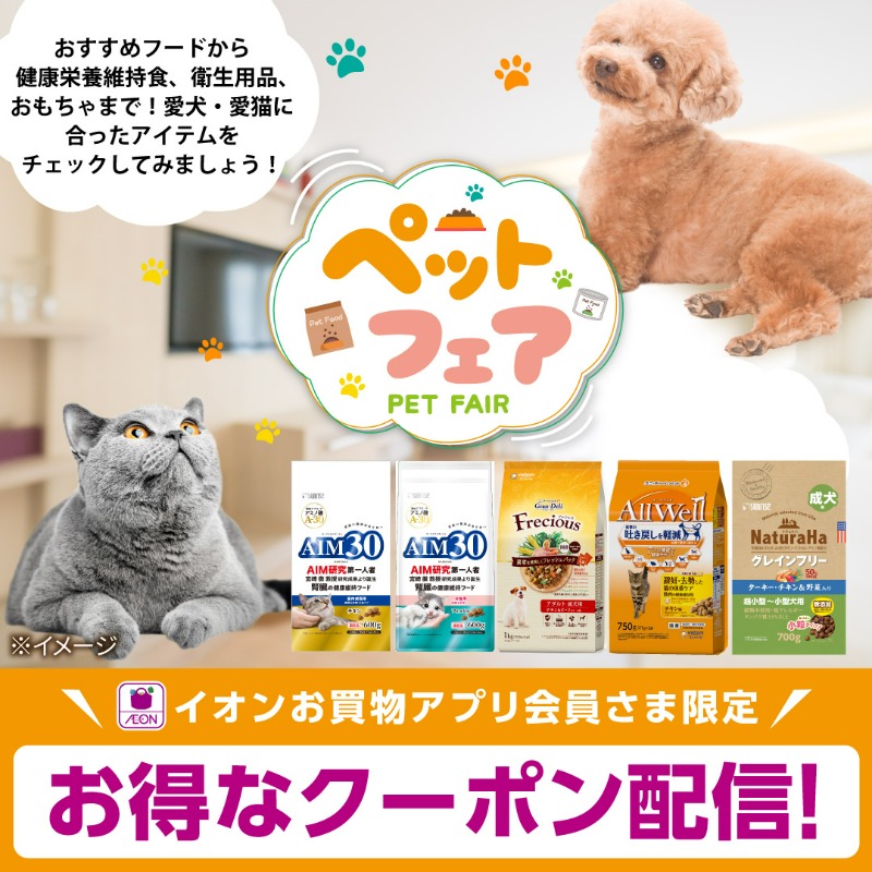 超特価⭐️早い者勝ち‼️ラジャス⭐️イオンチャンネル（シルバーのみ