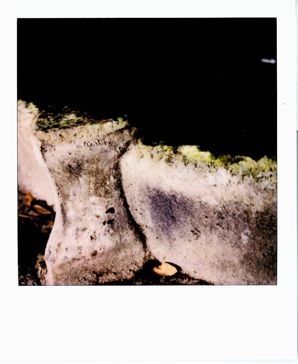 @SiKImagery #sikphotochallenge #texture #Polaroidsx70