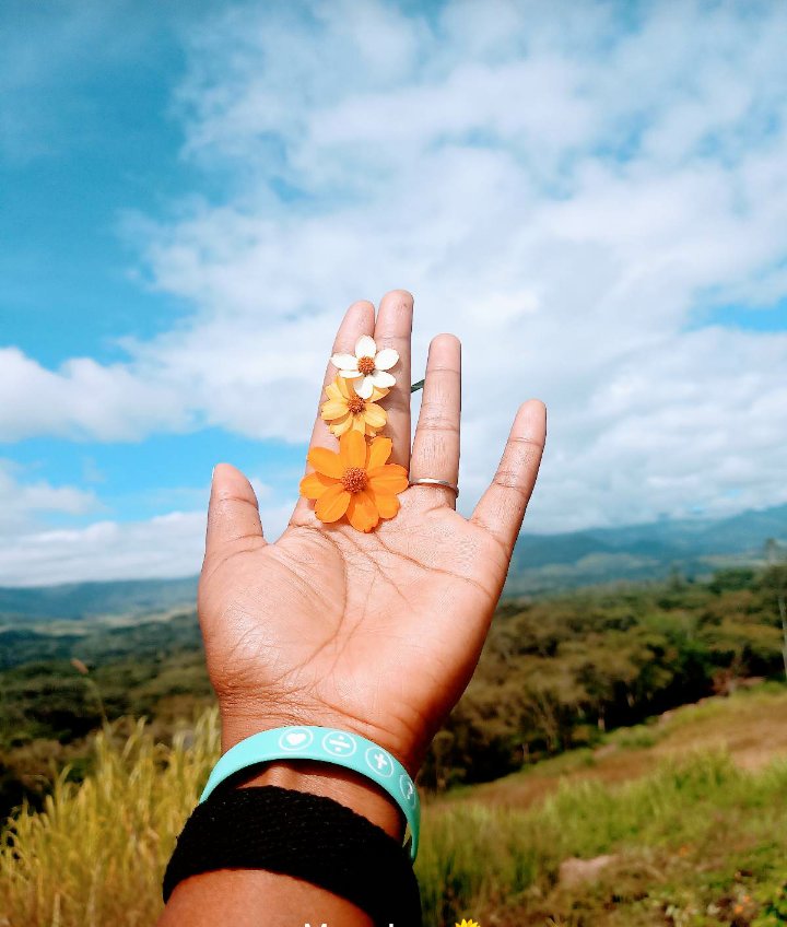 JayLikiss's tweet photo. Amazing picture. Everything is in your hand. You make the call. https://t.co/Y5ennIaJIg