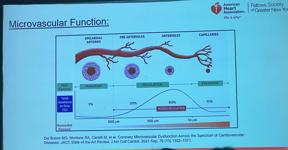 Cornell 🫀fellows attend @AHANewYorkCity’s Controversy Dinner! All-star #Cardiology panel explored complex cases- including the mgmt of refractory #MINOCA. In addition to invasive measures of #CMVD (e.g., IMR), Stress PET can assess for endothelial-independent microvascular dz.