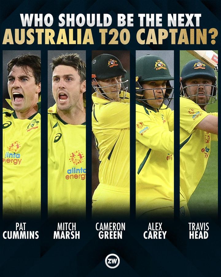 Stick Cricket tweet media