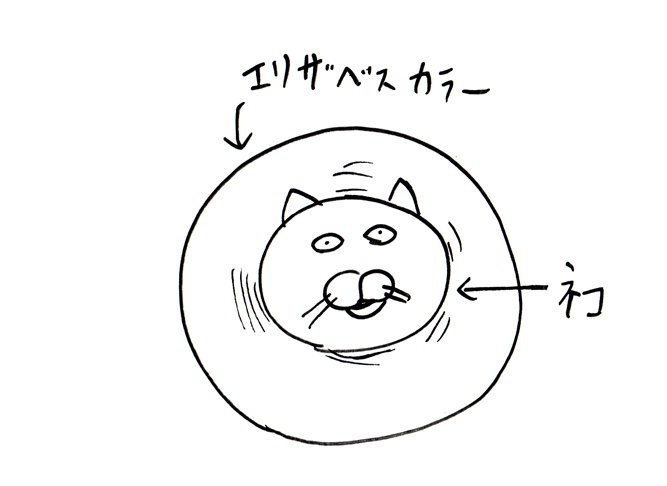 #見た絵師さん強制初投稿の絵と今の絵を比べる 
ぜんぜん変わってねぇ。
2015年の絵でエリザベスカラーを着けた猫が超級覇王電影弾みたいとか言ってたわ。 
