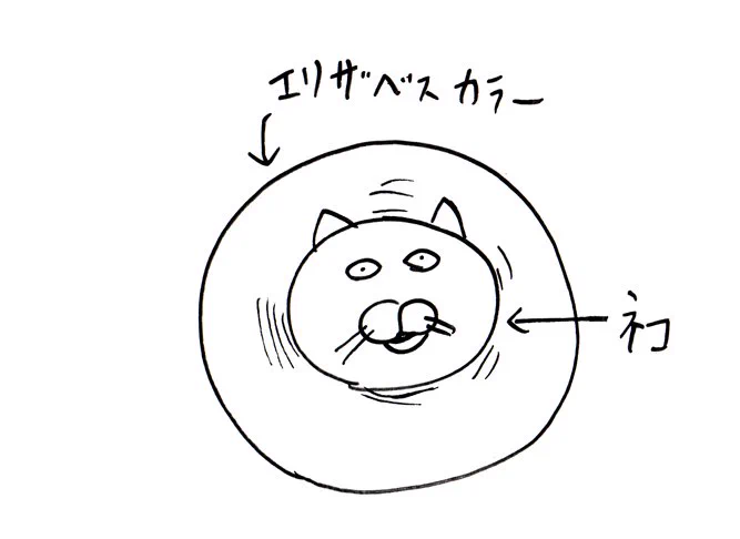 #見た絵師さん強制初投稿の絵と今の絵を比べる 
ぜんぜん変わってねぇ。
2015年の絵でエリザベスカラーを着けた猫が超級覇王電影弾みたいとか言ってたわ。 