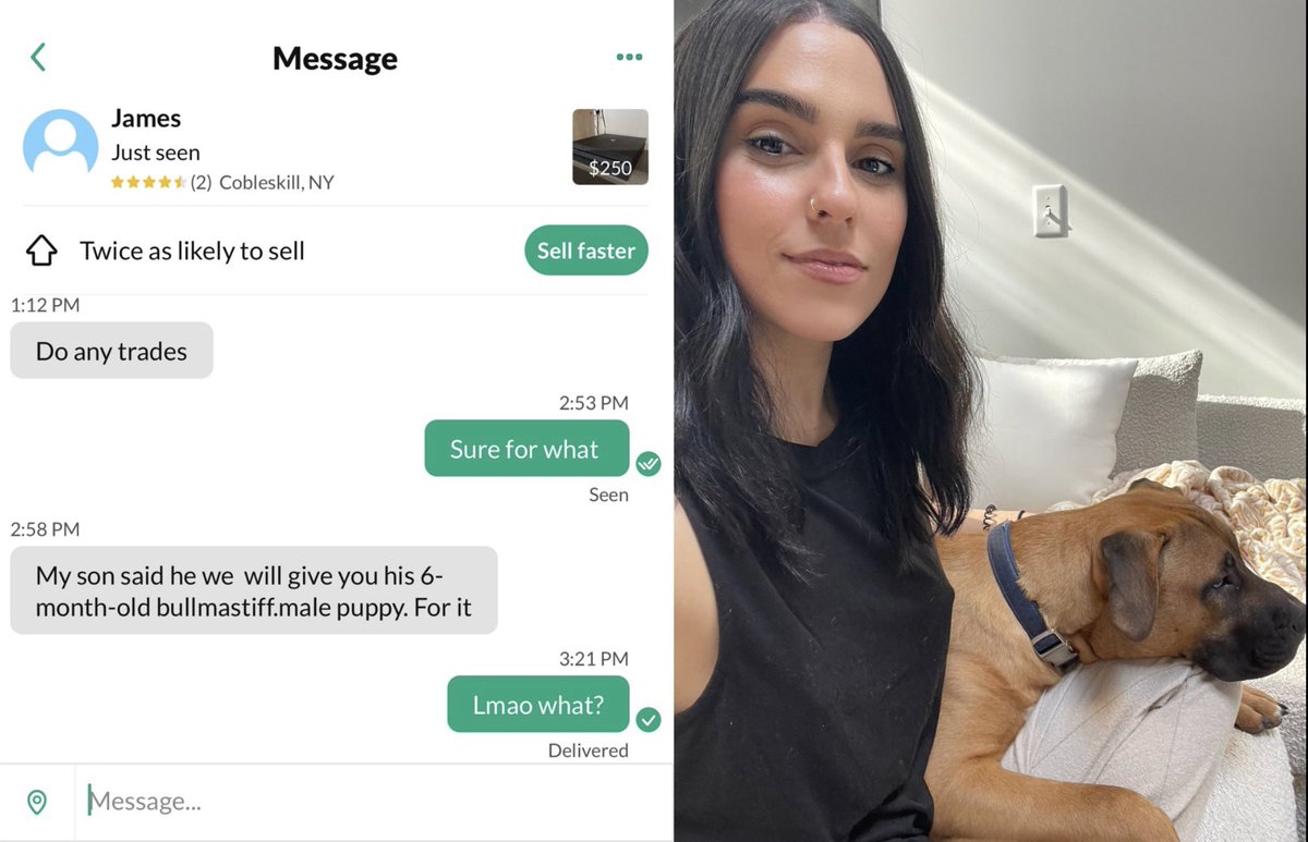 Elsie Alkurabi tweet media