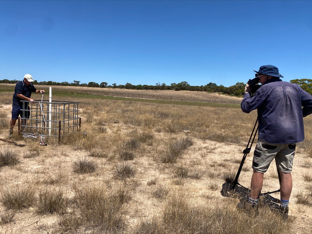 Eyre Peninsula Landscape Board tweet media